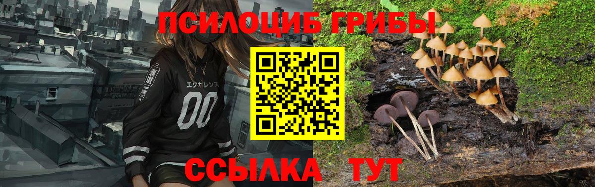Галлюциногенные грибы Magic Shrooms  Вход с VPN  наркошоп  Тавда 