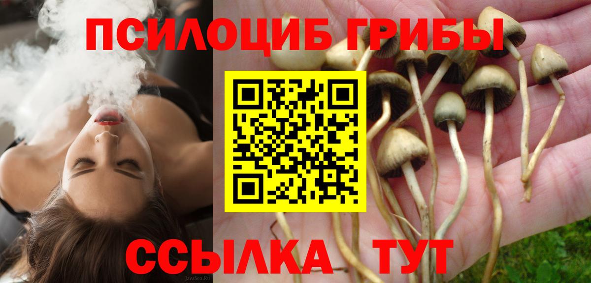 Псилоцибиновые грибы GOLDEN TEACHER Тавда