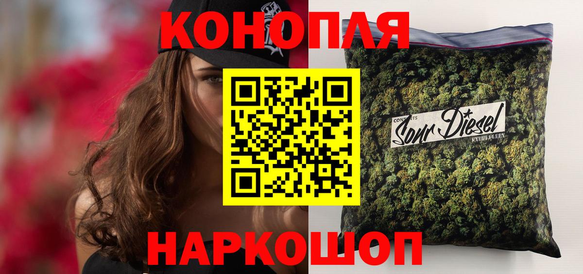 Шишки марихуана планчик  Конопля сатива  Вход с VPN  Тавда 